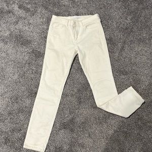 Loft Straight Leg Corduroy Pant